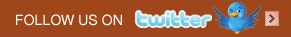 Twitter Web Design Braintoaster Interactive